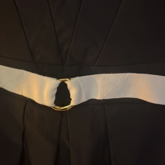 Sarah Campbell pleat front aline w/ grosgrain ribbon around the waist size 14 - Picture 5 of 7